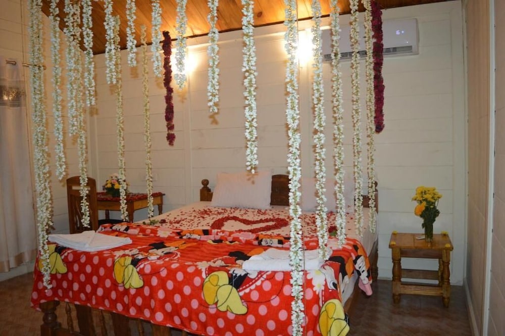 Kings Villa Resort — Canacona — photo 2