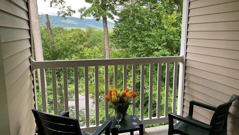 Vacation Village in the Berkshires - photo 31