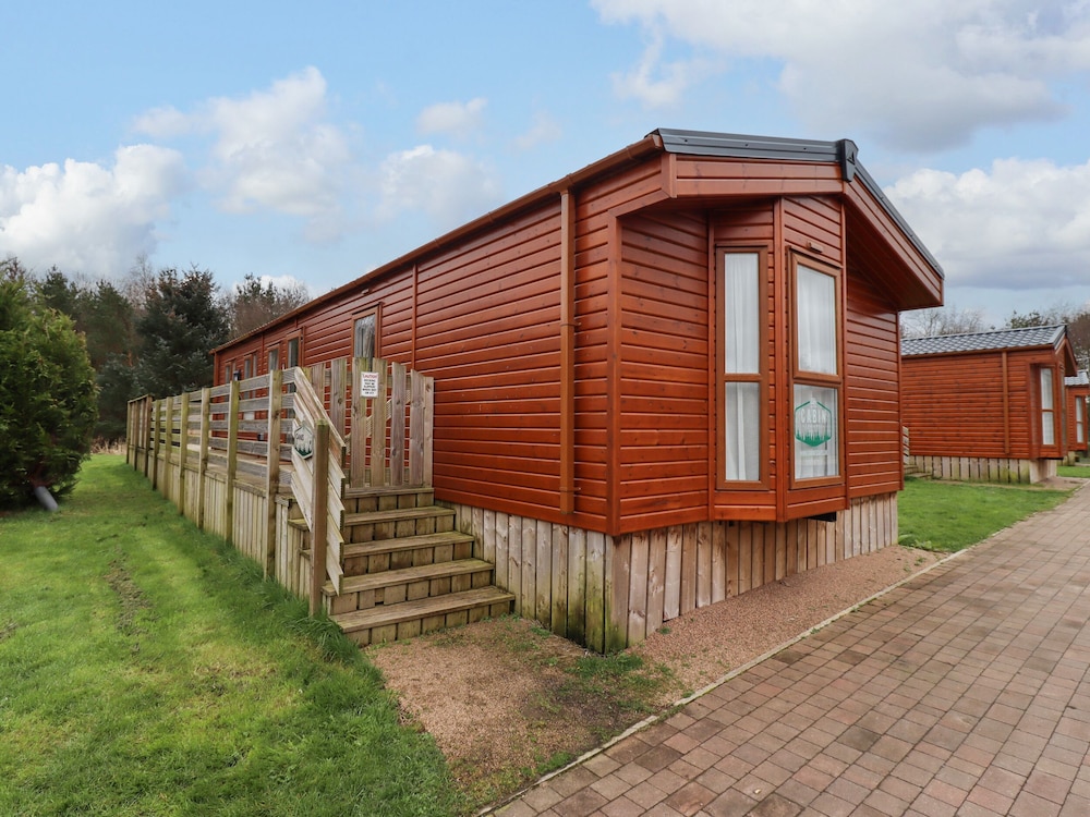 Canis in Morpeth, United Kingdom