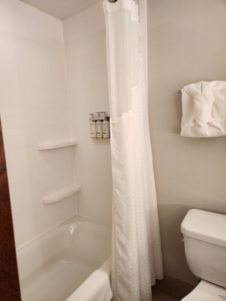 Holiday Inn Express Crystal River by IHG - photo 17
