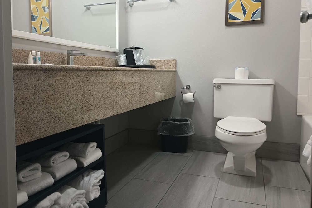 Comfort Inn and Suites Johnson City NY - photo 13