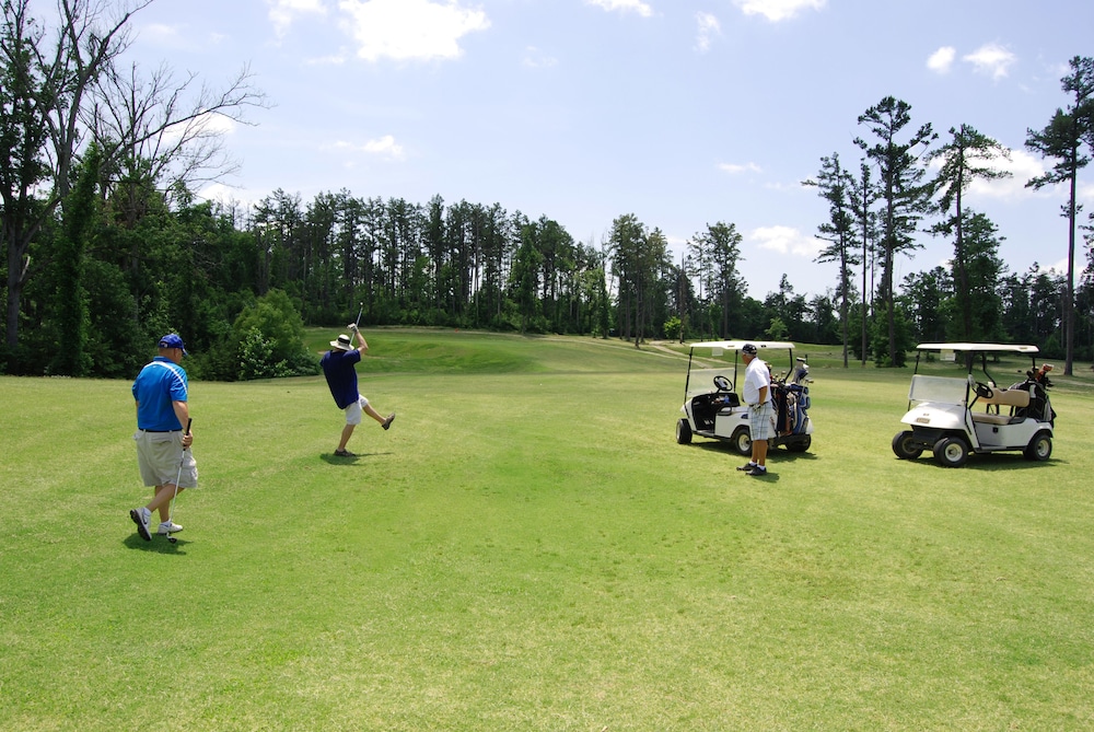 Pennyrile Forest State Resort Park - photo 22