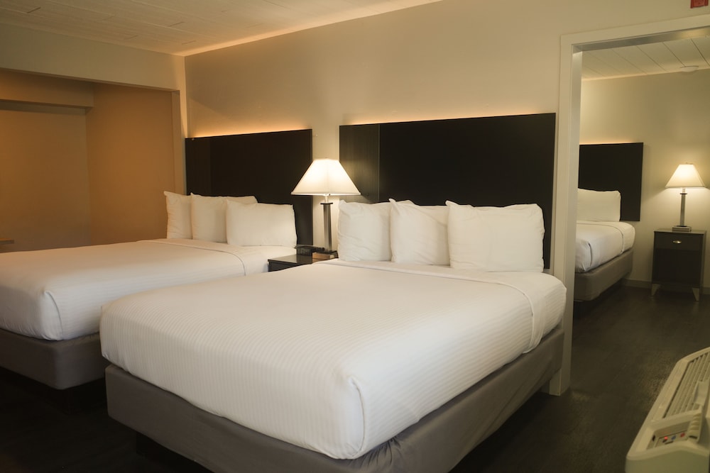 Americana Modern Hotel - photo 27