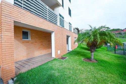 Tranquility Apartment — Canico — photo 3