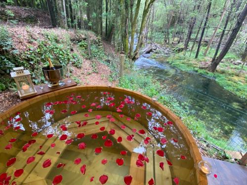 Wild Glamping Portugal relax by Serra de Arga waterfalls in Viana do Castelo with hot tub in Viana Do Castelo, Portugal