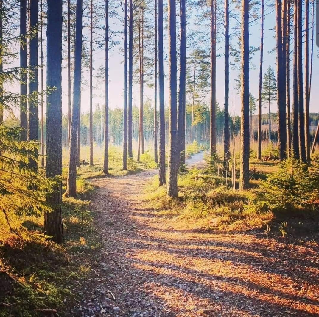 Trevlig Stuga Nara Hovfjallet in Torsby, Sweden