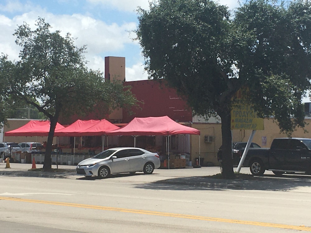 Richard's Pet Friendly Motel - photo 31