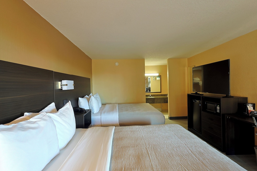 Quality Inn Kennedy Space Center - photo 18