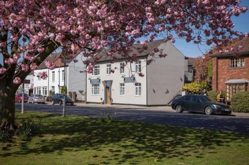 The Green Inn — Goole