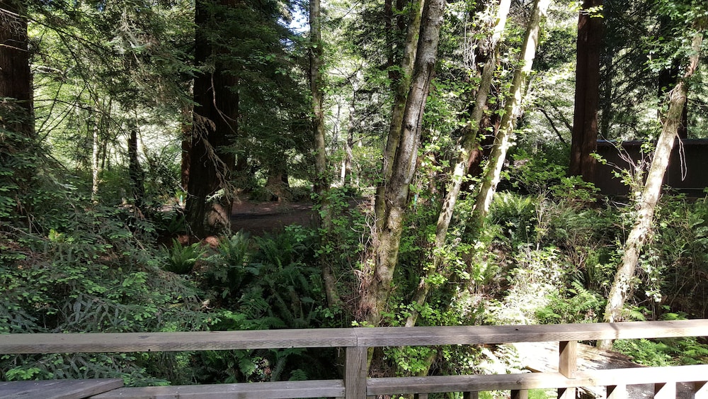 Emerald Forest Cabins - photo 163