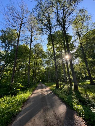 Bäckagården self catering självhushåll — Skoevde — photo 3