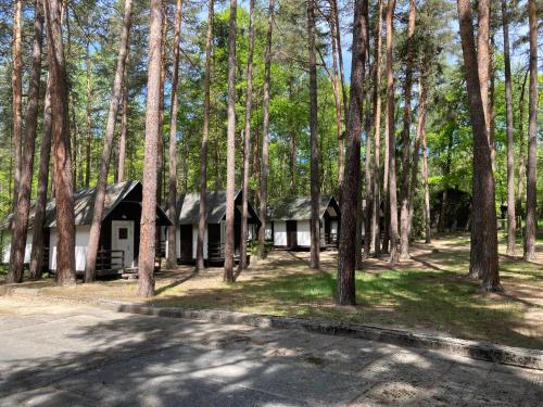 Chatová osada Zelený Háj — hotel in Merklin