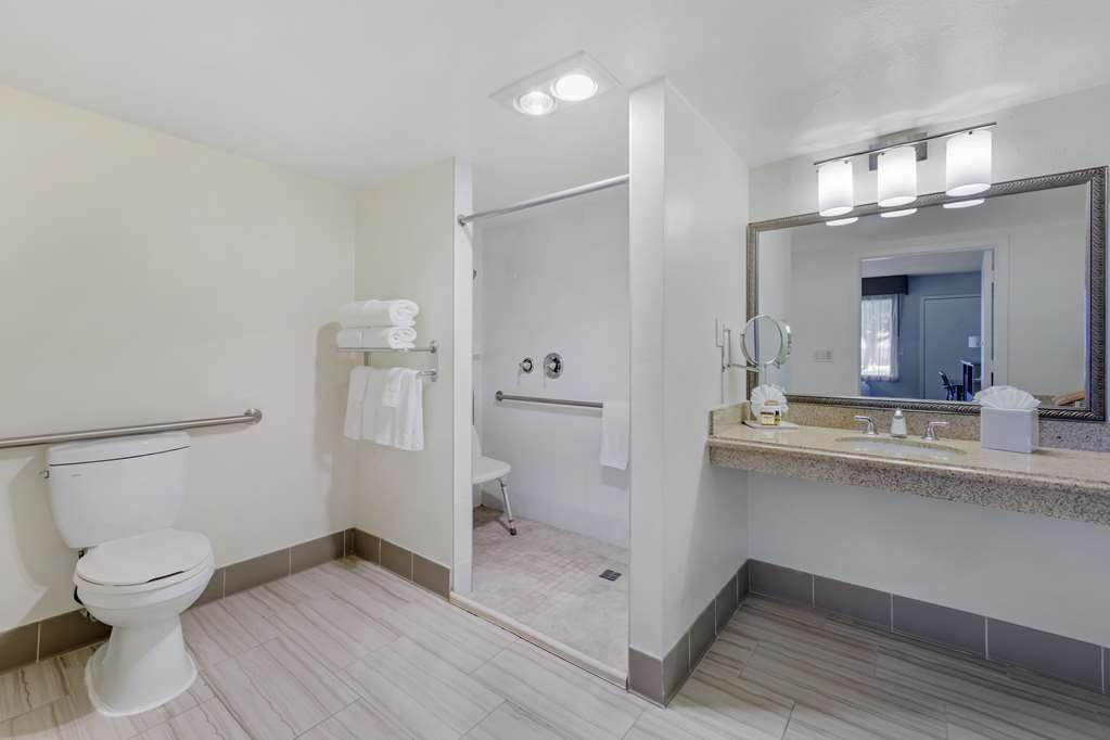 Best Western Plus Executive Inn - photo 42