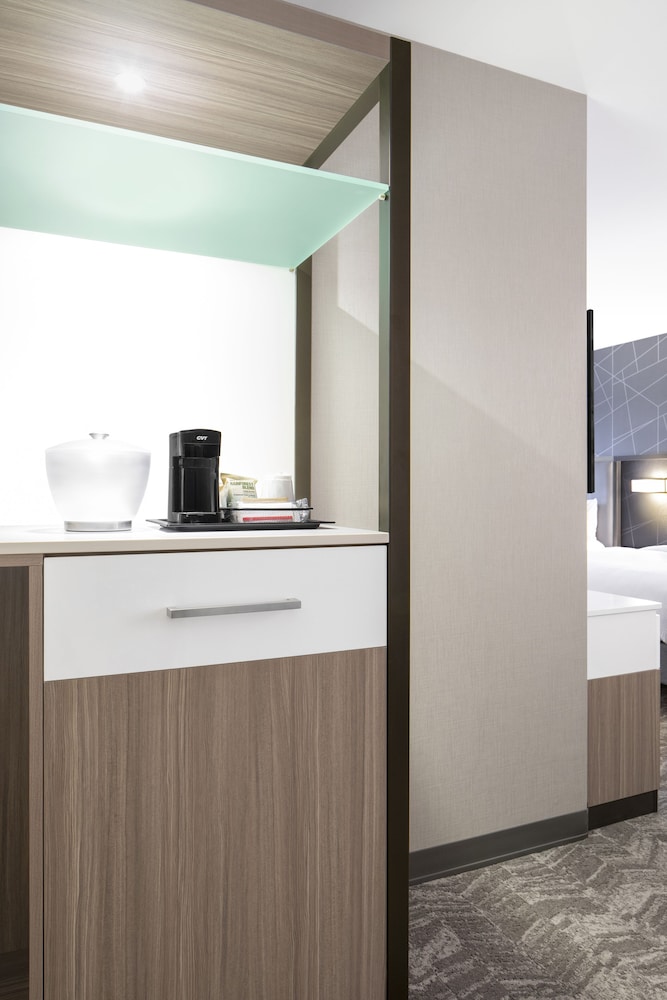 SpringHill Suites Columbia near Fort Jackson - photo 4