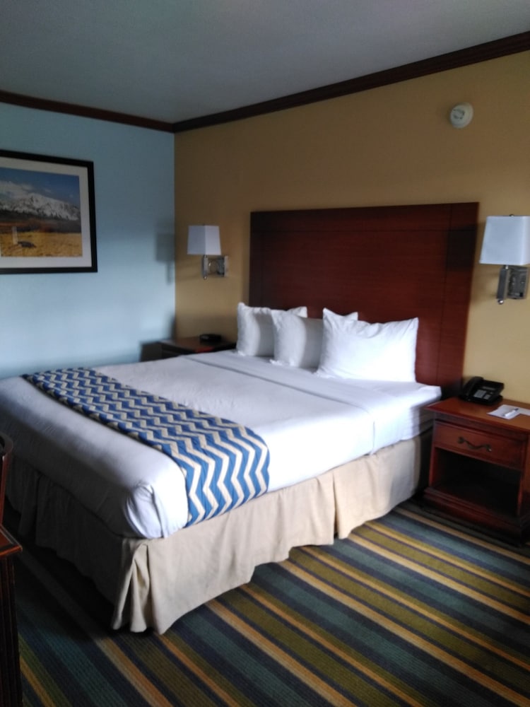 Travelodge by Wyndham Bishop - photo 7
