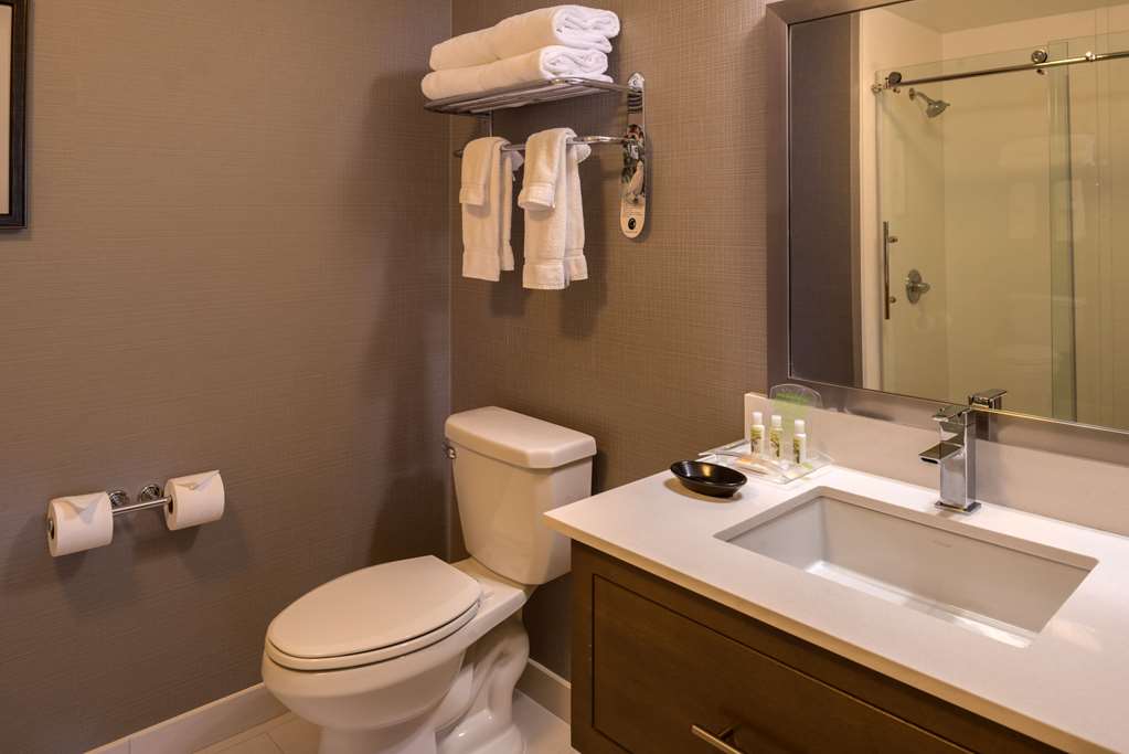 Sonesta Chicago O'Hare Airport Rosemont - photo 15