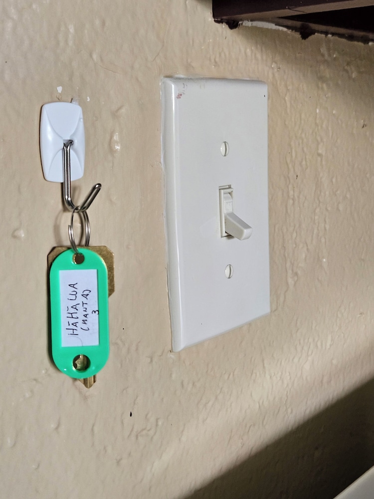 Yonegan Plumeria Hilo Hotel — Hilo