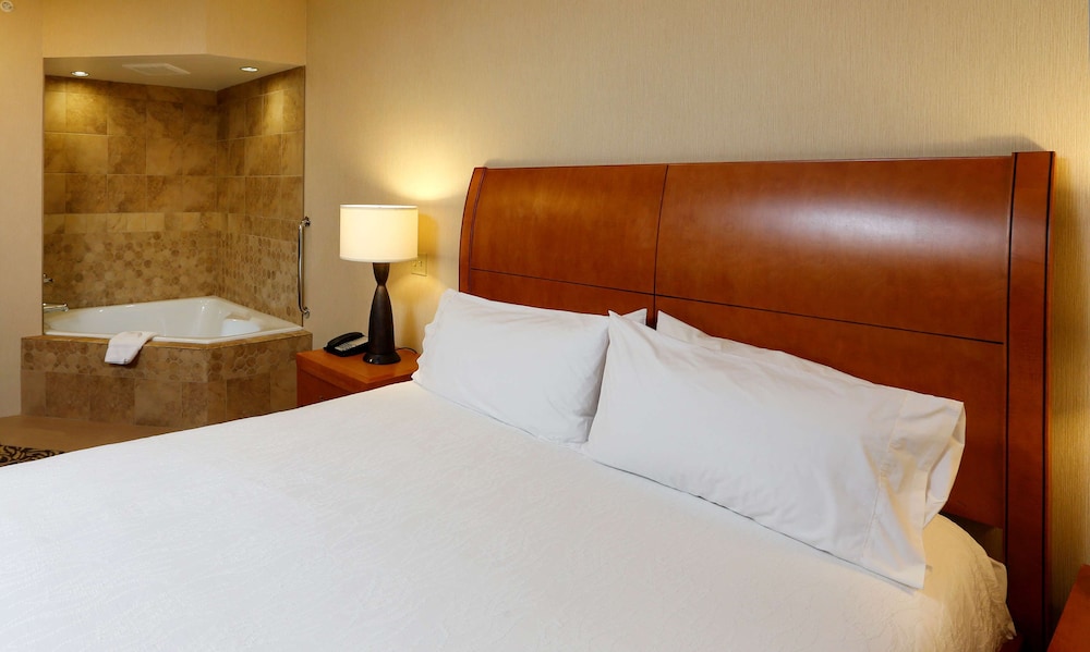 Hilton Garden Inn Cedar Falls - photo 12