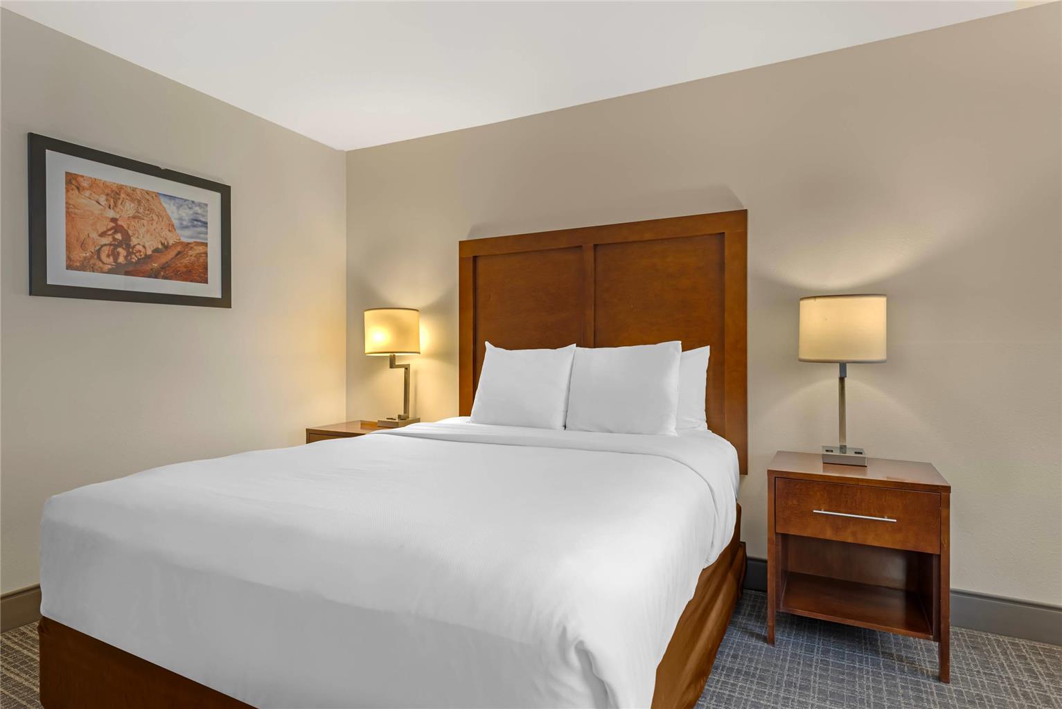 Comfort Inn & Suites Carbondale on the Roaring Fork - photo 44