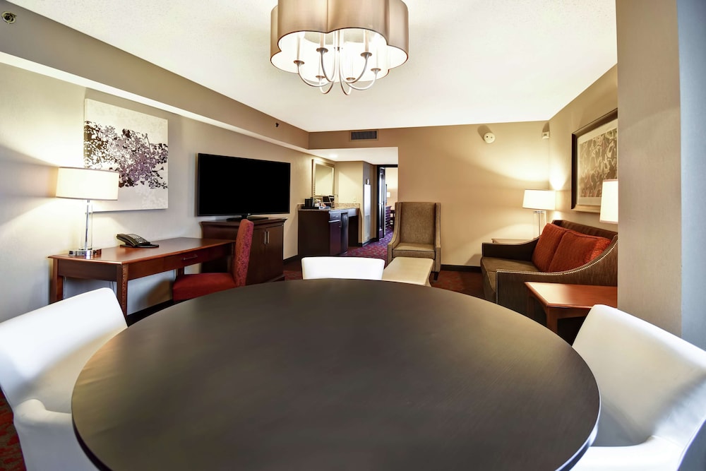 Embassy Suites by Hilton Dulles Airport - photo 19
