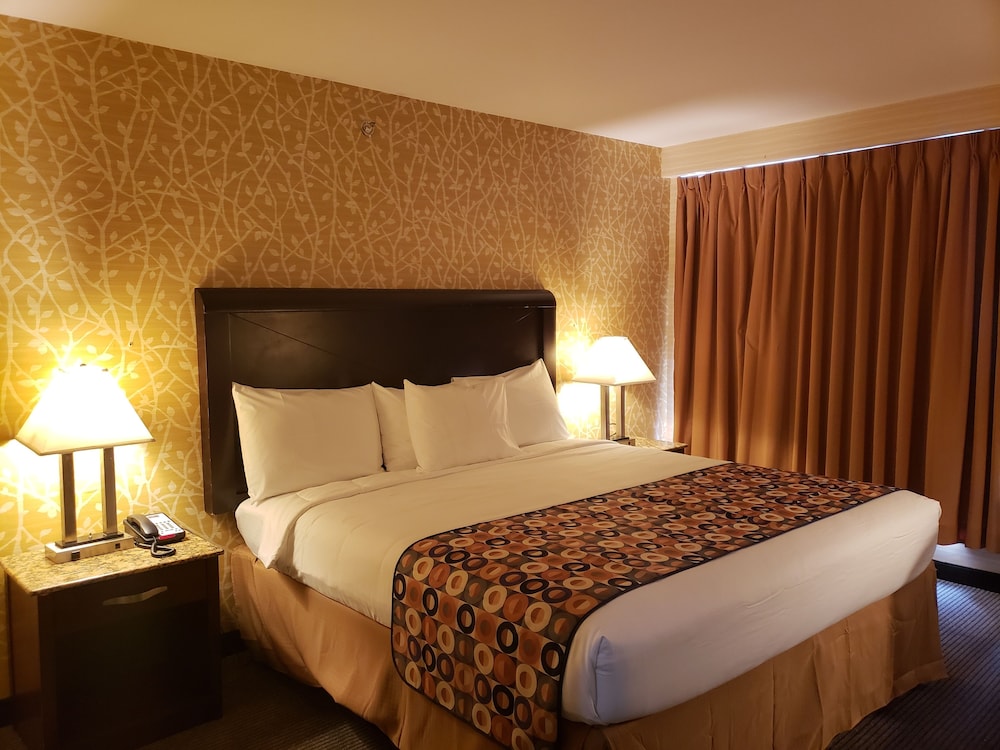 Elmhurst Hotel - photo 7