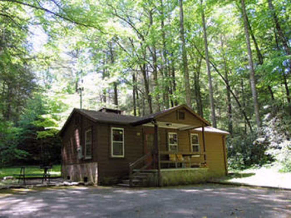 Cabins At Twinbrook Resort - photo 9