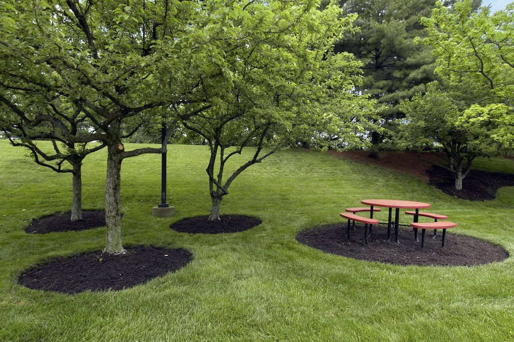 Red Roof Inn Cincinnati Northeast Blue Ash - photo 16