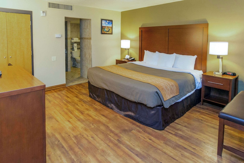 Comfort Inn Salt Lake City Downtown - photo 31