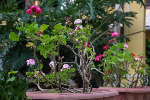 3 Palmeiras Guest Lounge in Miguel Pereira, Brasil
