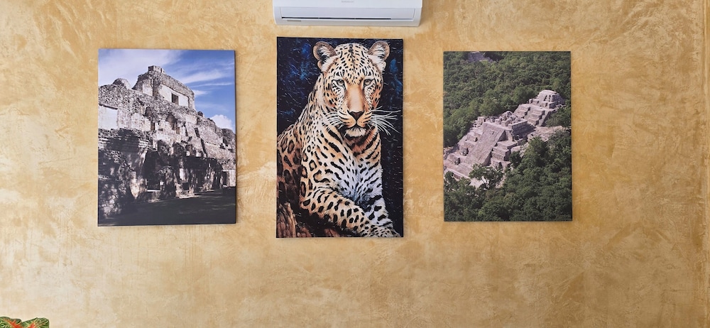 Hotel El Paraíso Calakmul in Unknown City, Mexico