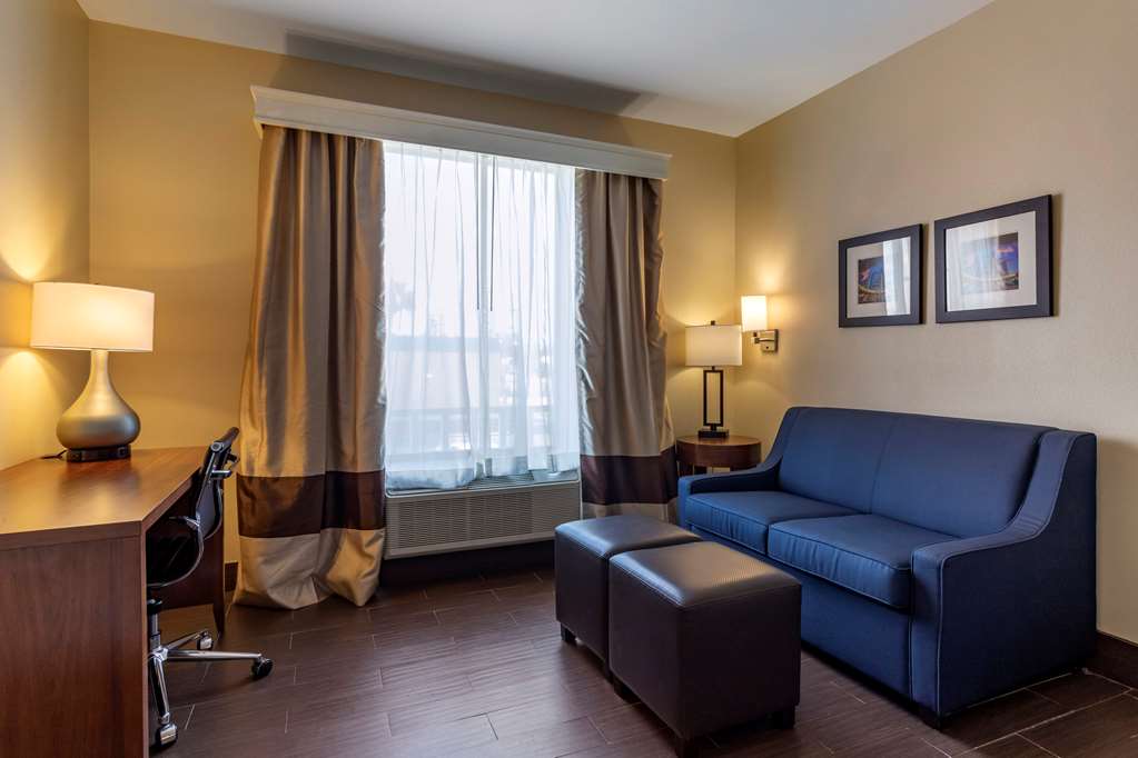Comfort Suites Houston near Medical Center NRG Stadium - photo 19