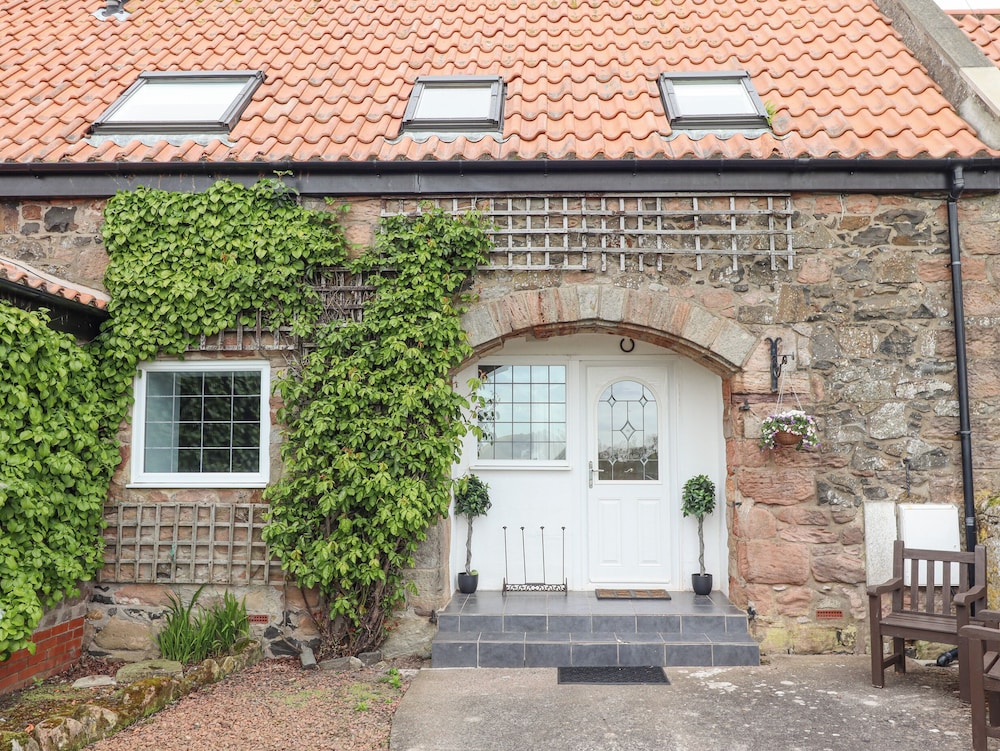 Jara in Bamburgh, United Kingdom