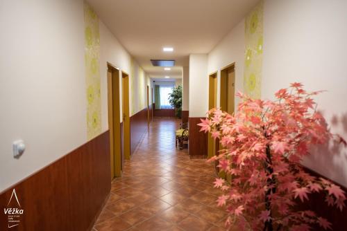 Pension Věžka — Sternberk — photo 5