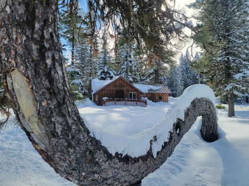 Cooper Spur Mountain Resort - photo 46