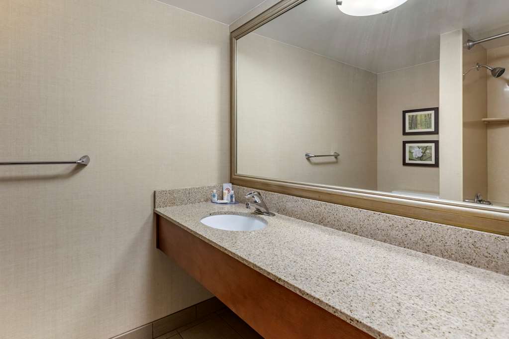 Comfort Inn Lansing West - photo 9
