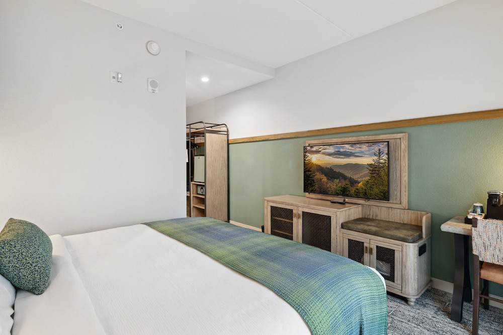 HeartSong Lodge & Resort - photo 41
