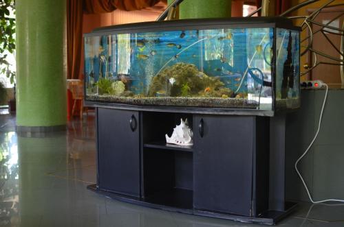 Le Baron Hotel in Timisoara, Romania