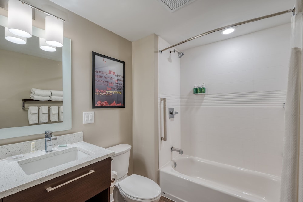 TownePlace Suites by Marriott Indianapolis Airport - photo 39
