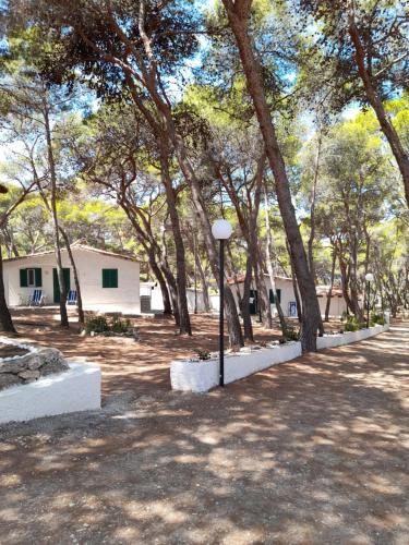 Villaggio Internazionale Punta del Diamante — hotel in Isole Tremiti