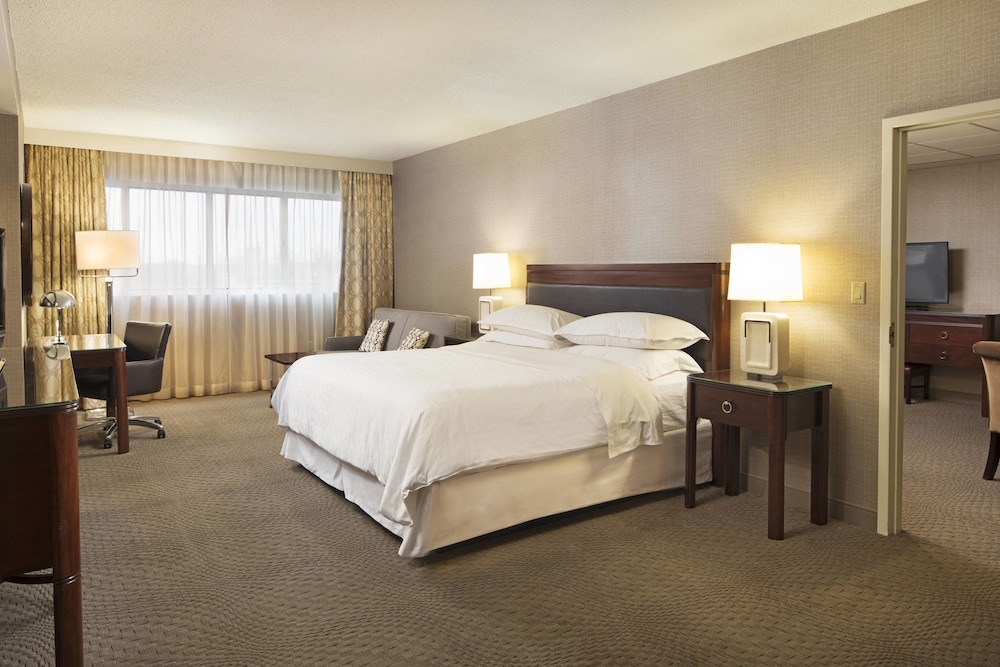 Sheraton Sioux Falls Hotel & Convention Center - photo 12