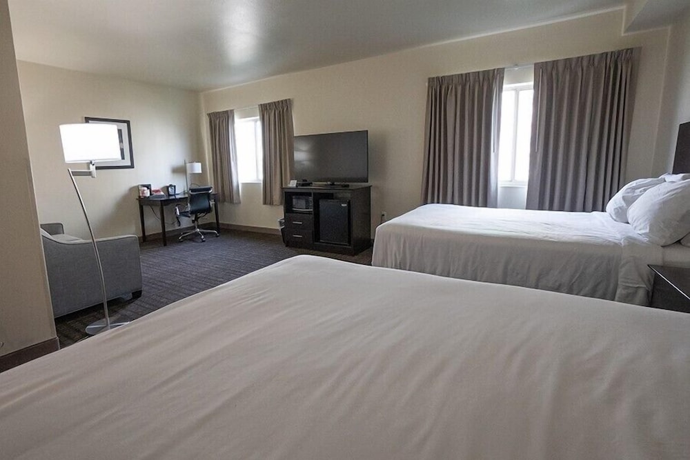 Cobblestone Inn & Suites Sheldon - photo 20