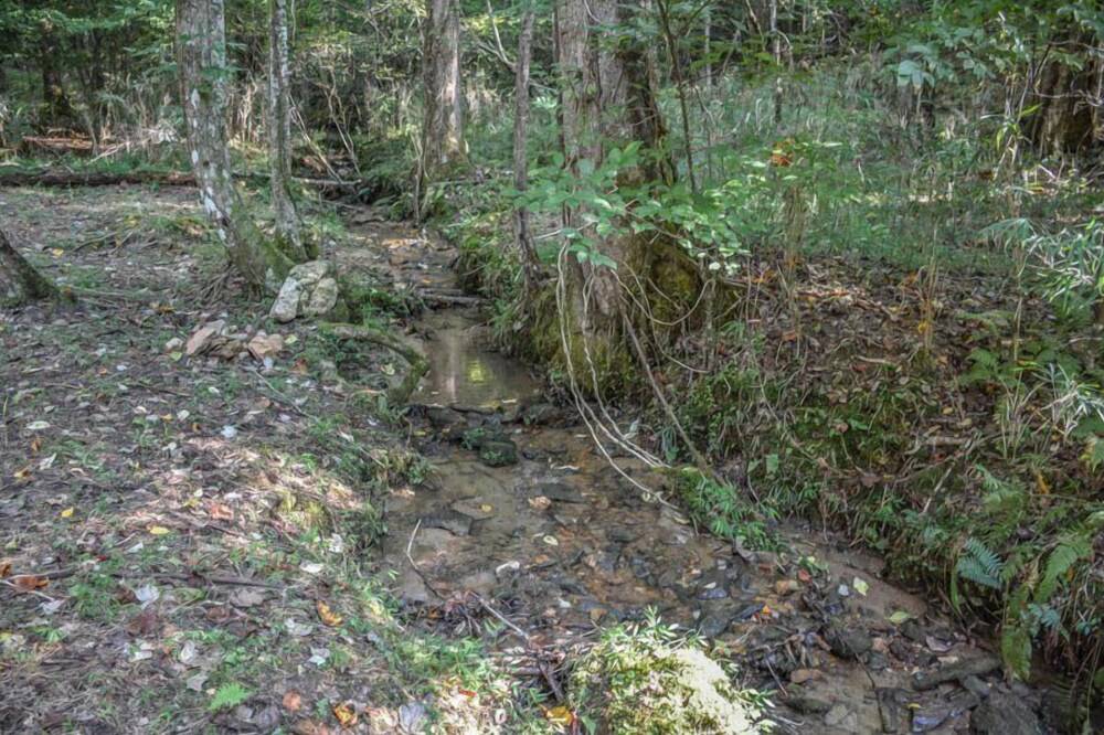 Harleys River Retreat Charming Cabin in Coosawattee River Resort Hot tub Ellijay - photo 13