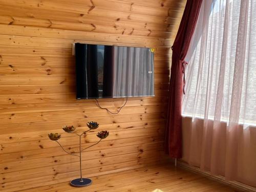 Vaso Levani Kazbegi Cottage