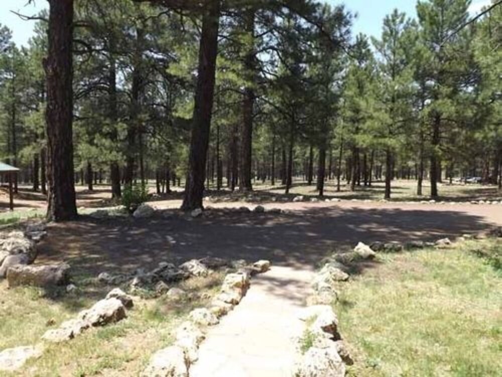Arizona Mountain Inn and Cabins - photo 313