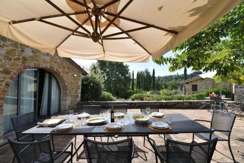 Sangiovese in Castelnuovo Berardenga, Italy