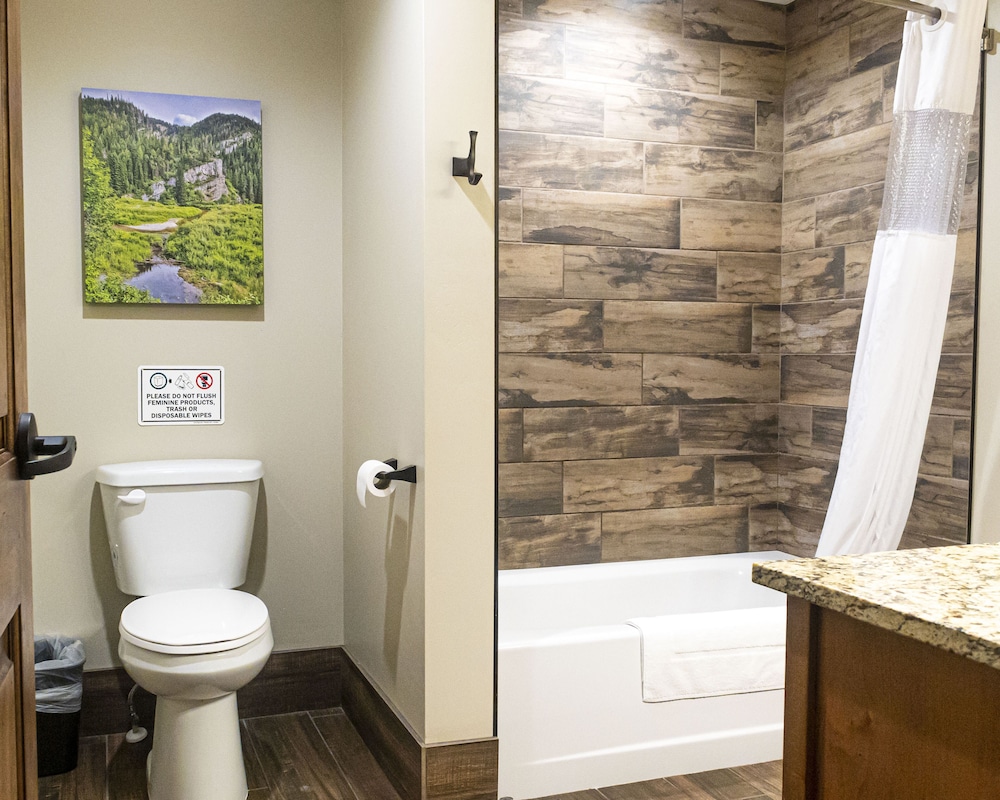 Sawtelle Mountain Resort - photo 40
