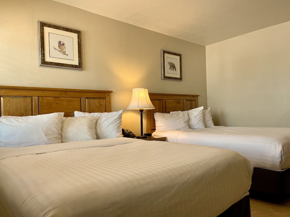 Arizona Sunset Inn - photo 15
