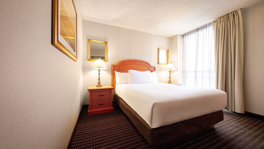 Eldorado Reno A Caesars Rewards Destination - photo 28