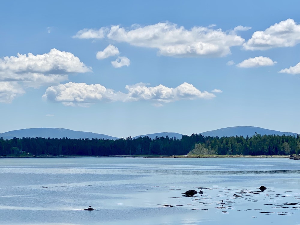 Island View Hotel Bar Harbor - photo 45