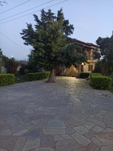 Fotini's Paradise — 4-Star Luxury Hotel in Volos, Greece